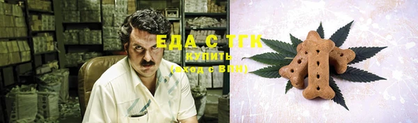 СК Гусев