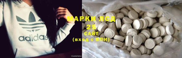 прущий лед Дмитриев