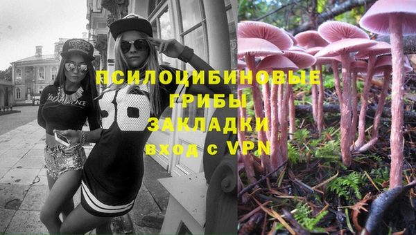 спиды Дмитровск