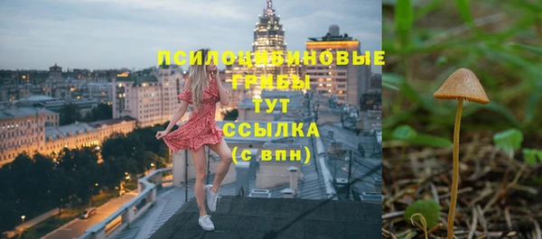 СК Гусев