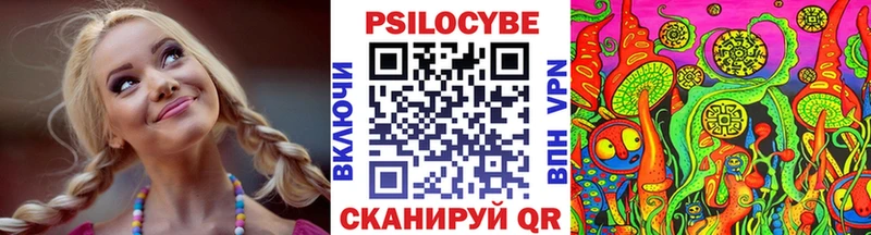 Купить  Камышлов  Галлюциногенные грибы GOLDEN TEACHER 